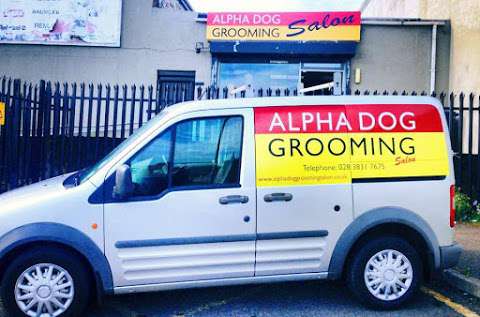 Alpha Dog Grooming Salon photo